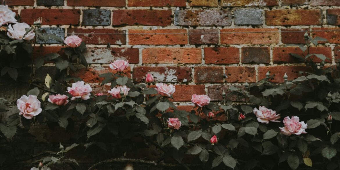 Untitled design (10)